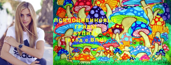 марки nbome Каменногорск