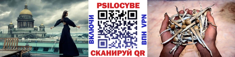 Псилоцибиновые грибы Psilocybe  Купить закладки  Данков 